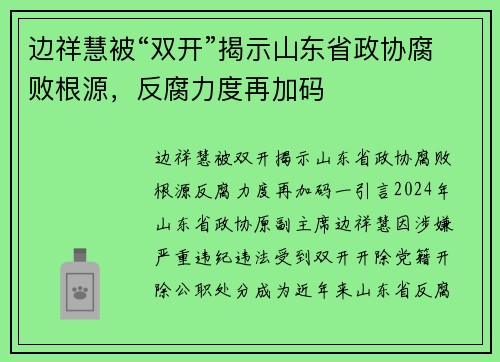 边祥慧被“双开”揭示山东省政协腐败根源，反腐力度再加码