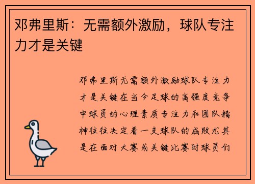 邓弗里斯：无需额外激励，球队专注力才是关键